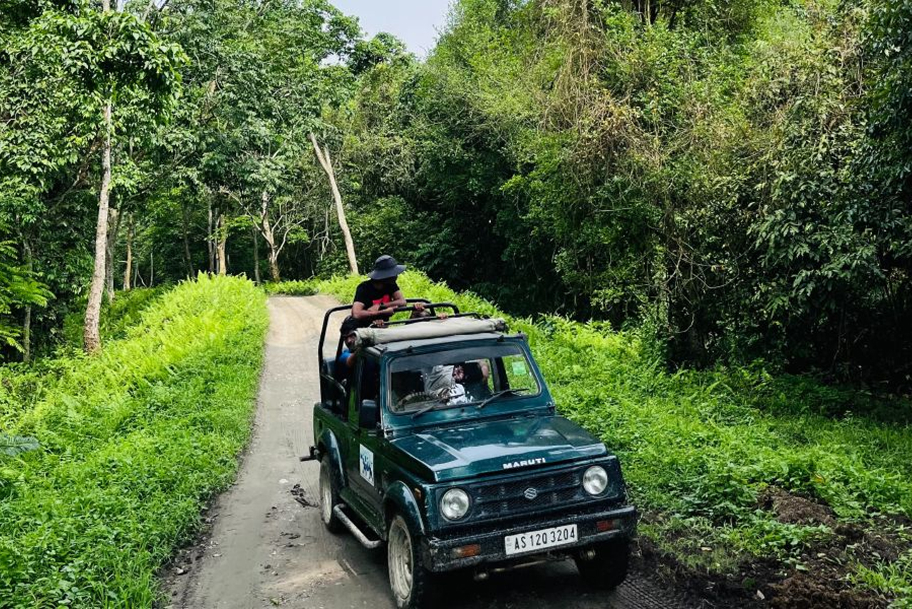 Jim Corbett Jeep Safari