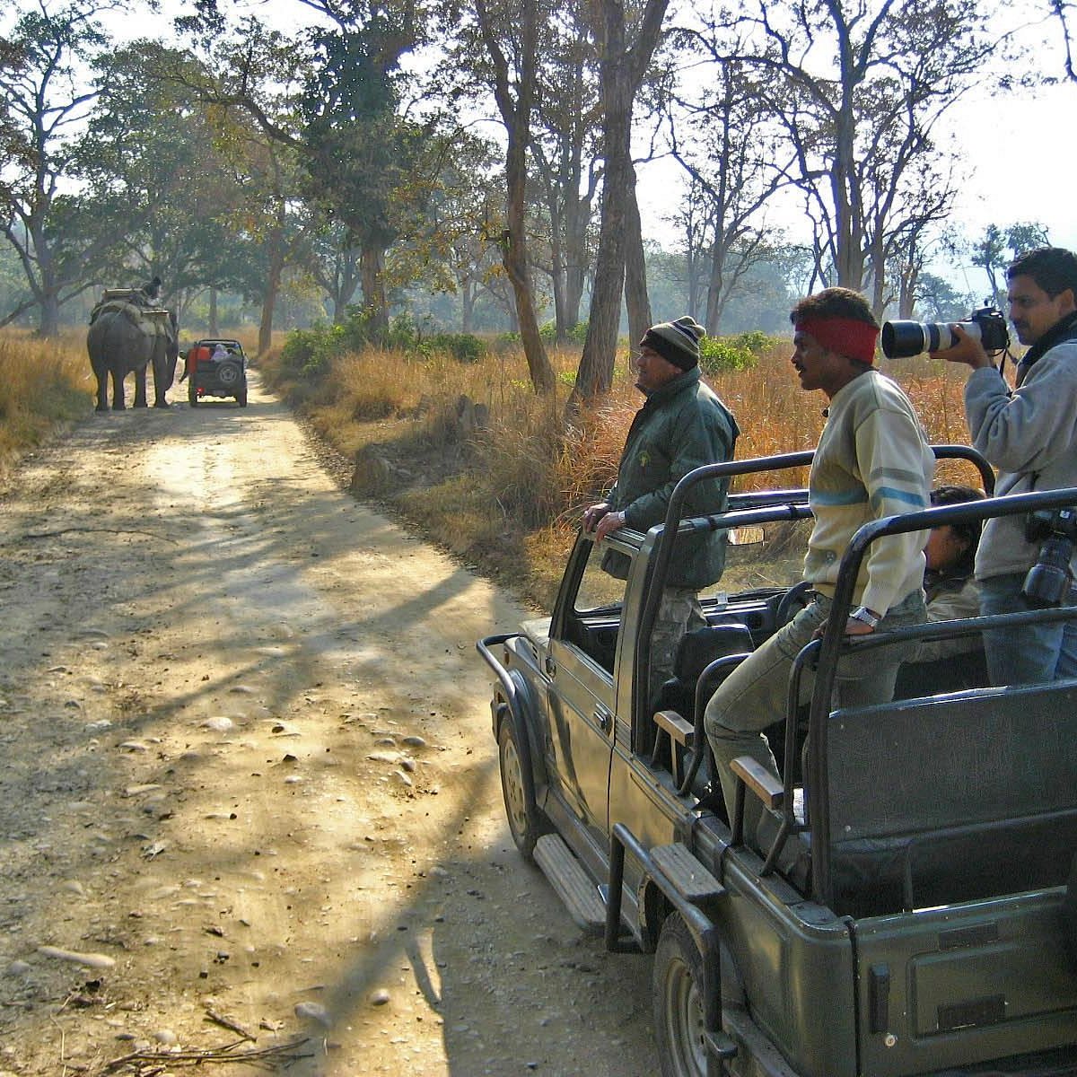 corbett-jeep-safari-day