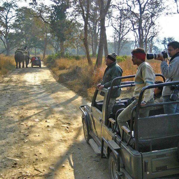 corbett-jeep-safari-day